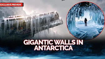 Are They in Antarctica Not All of Them Left, Some Got Trapped!